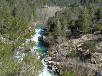 Alto Tajo - Hundido de Armallones, conocer gente madrid; selva de irati